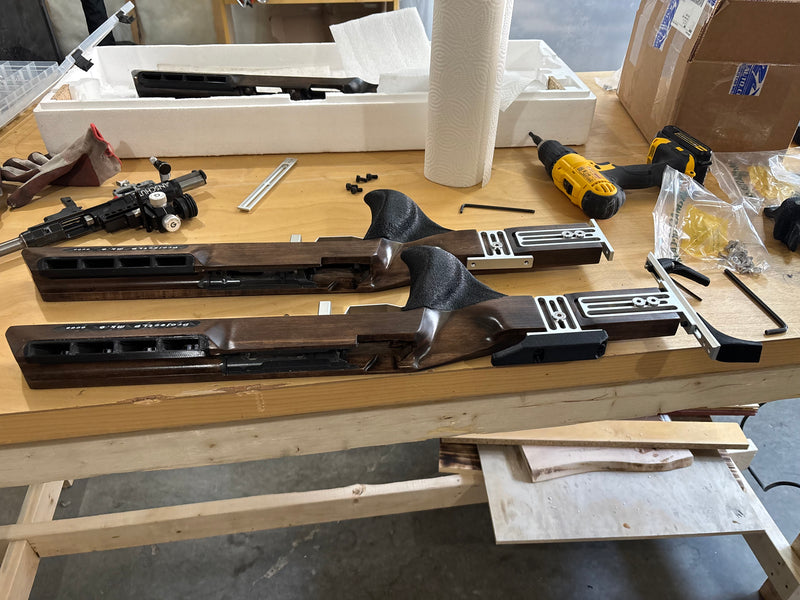 Rifle Customization — biathlon  from ProjectLP