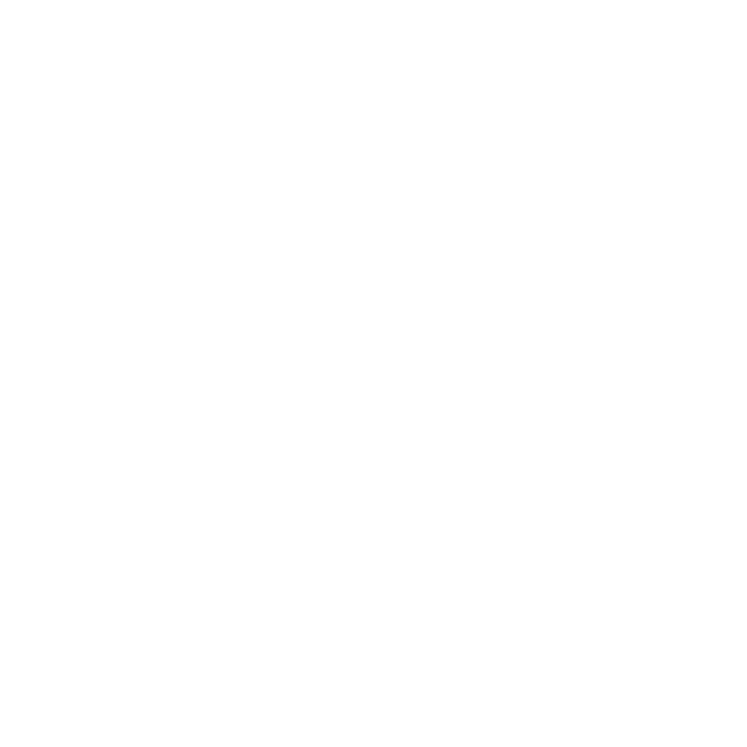 Fortner — biathlon brand logo